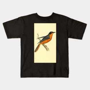 Zoological Illustrations by William Swainson, Turdus vociferans. Calling Thrush. Kids T-Shirt